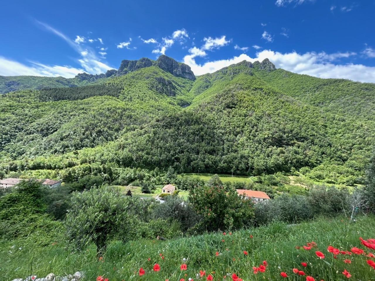 Castelletto With Mountain View Apartment Colletta Bagian luar foto